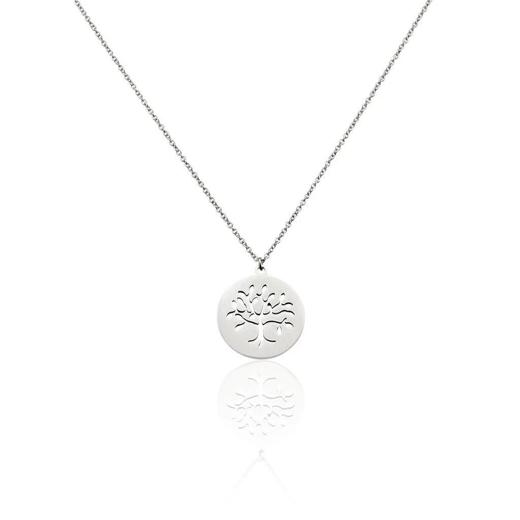 Collier Acier Blanc Ganet